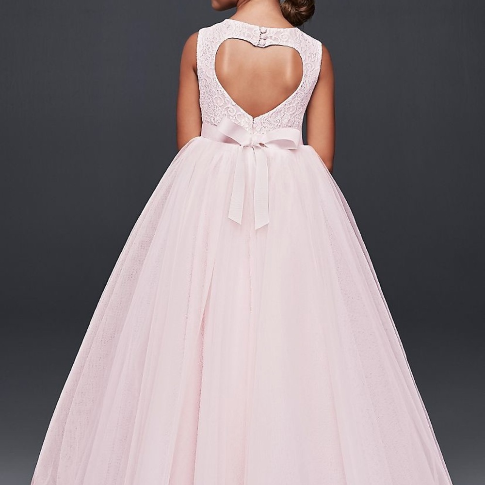 David’s Bridal flower girl or Jr Bridesmaid dress